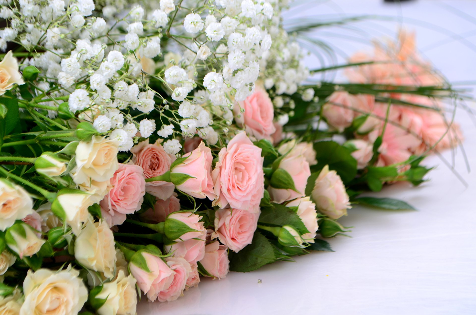 Mesajul de felicitare al președintelui raionului cu ocazia Zilei funcționarului public