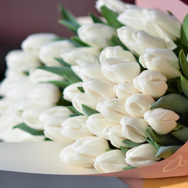 MESAJUL DE FELICITARE AL PREȘEDINTELUI RAIONULUI CU PRILEJUL ZILEI INTERNAȚIONALE A OAMENILOR ÎN ETATE