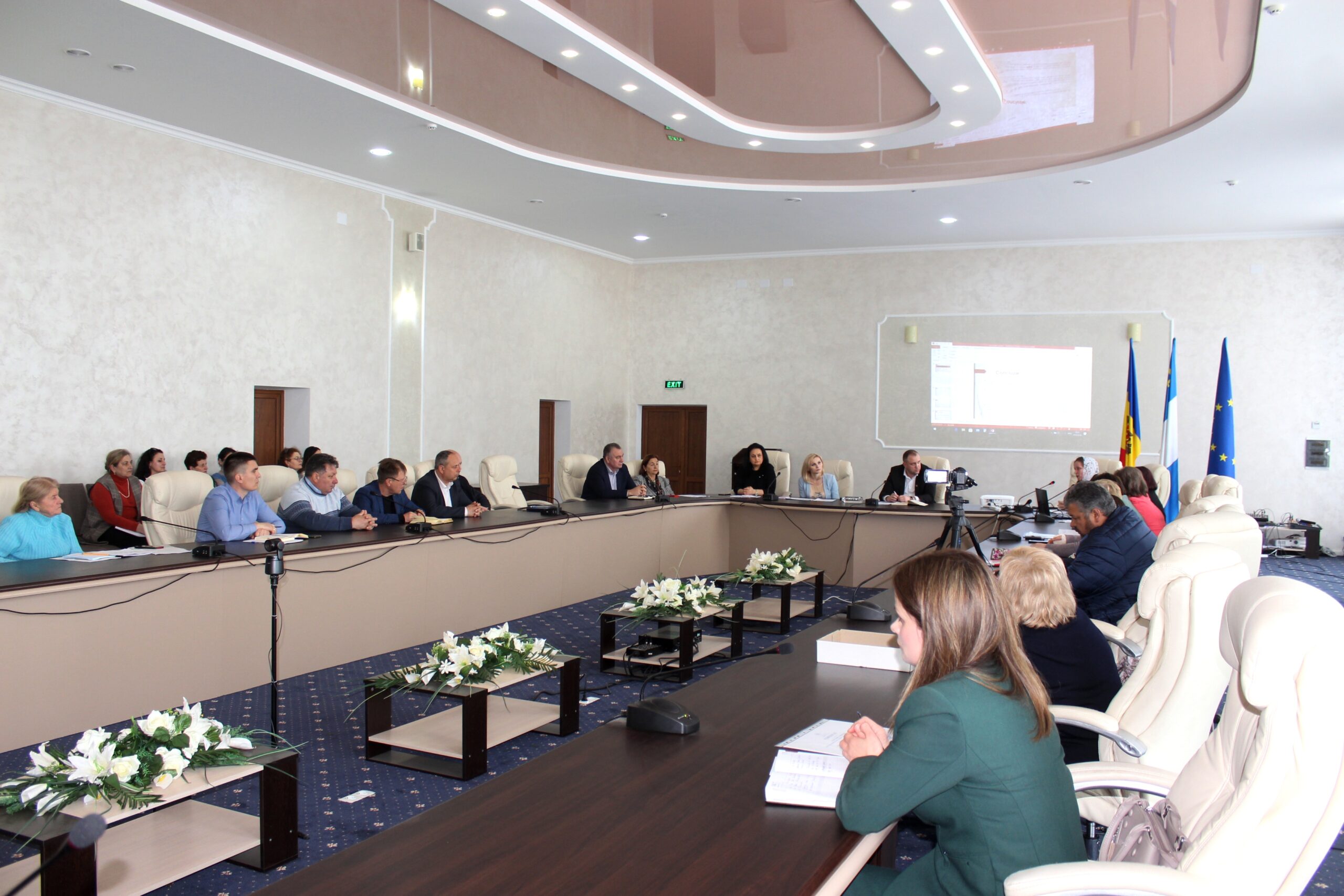La Consiliul raional Rezina au avut loc audieri publice