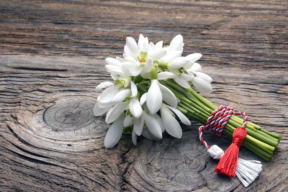 Mesaj de felicitare adresat tuturor rezinenilor cu sosirea primăverii