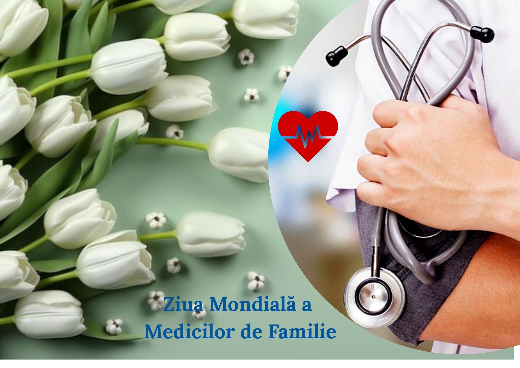 Felicitări și recunoștință pentru medicii de familie și veteranii sănătății din raionul Rezina