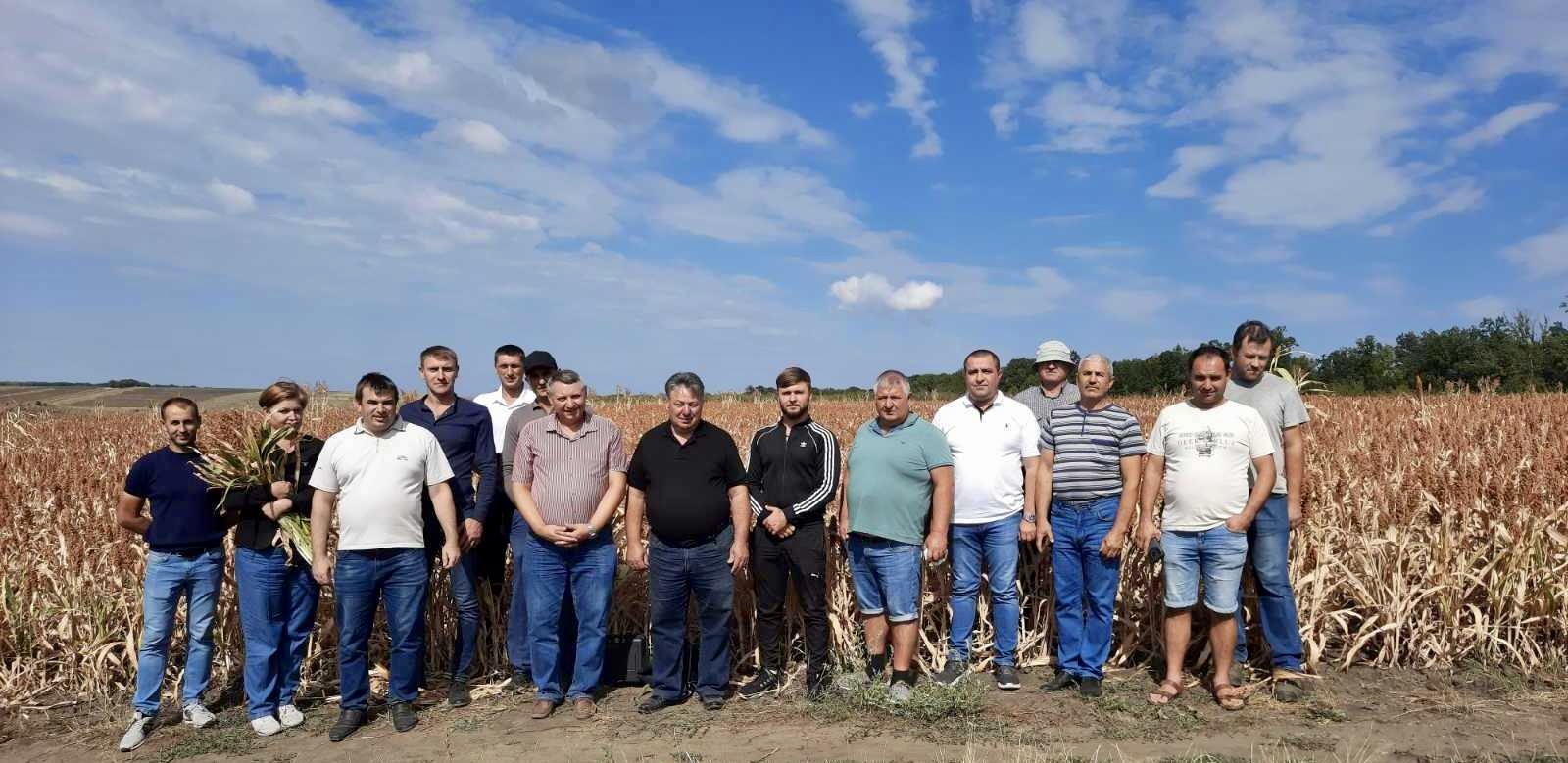Ziua Câmpului la Peciște: „Școala de Câmp a Fermierului” specializată în cultivarea sorgului